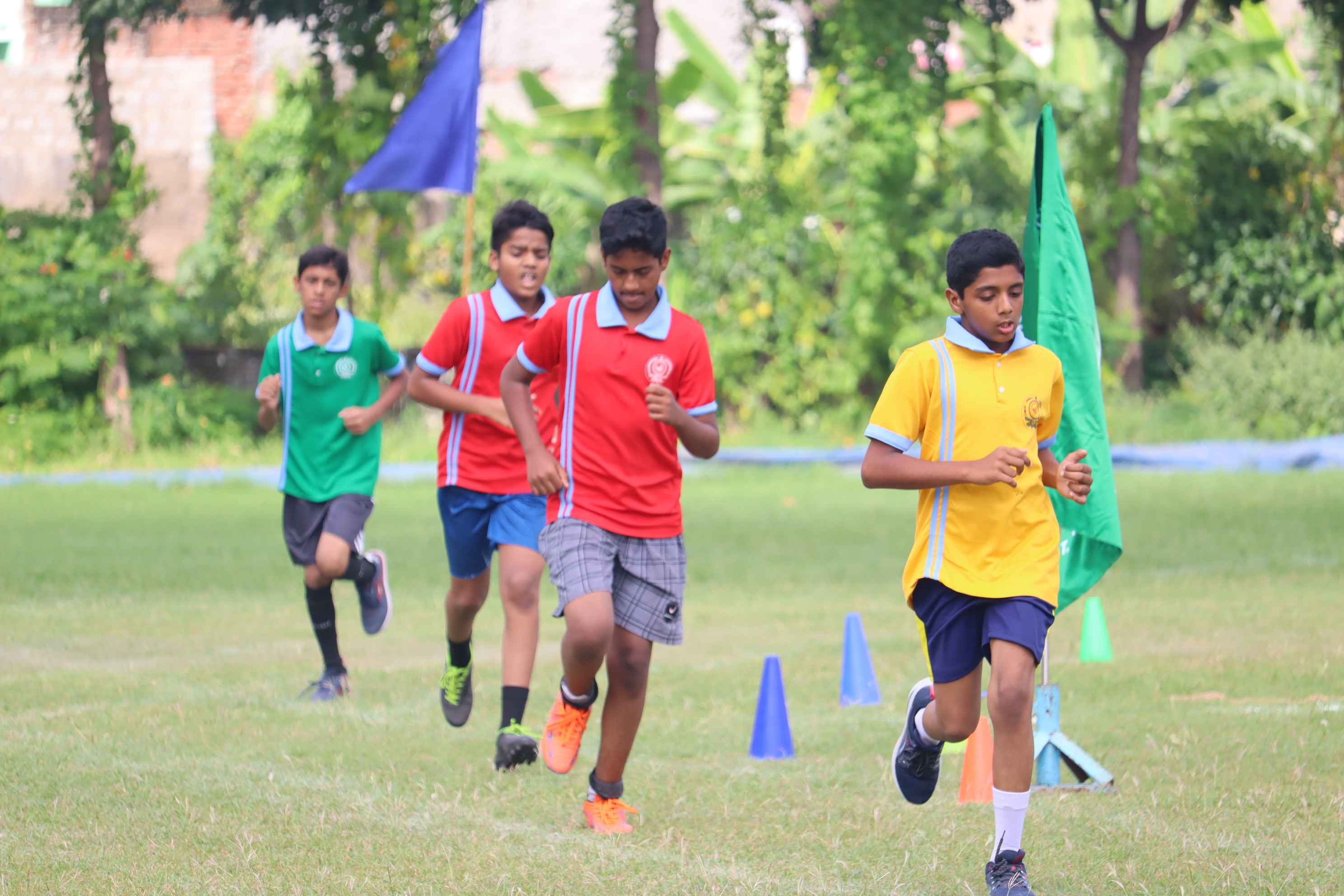 IMG_0528_11zon_8